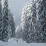 Ortner-hof Inkl. Chiemgaukarte Ruhpolding