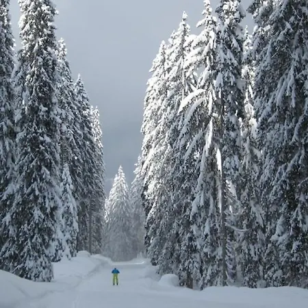 Ortner-hof Inkl. Chiemgaukarte Ruhpolding
