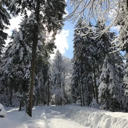 Ortner-hof Inkl. Chiemgaukarte Ruhpolding