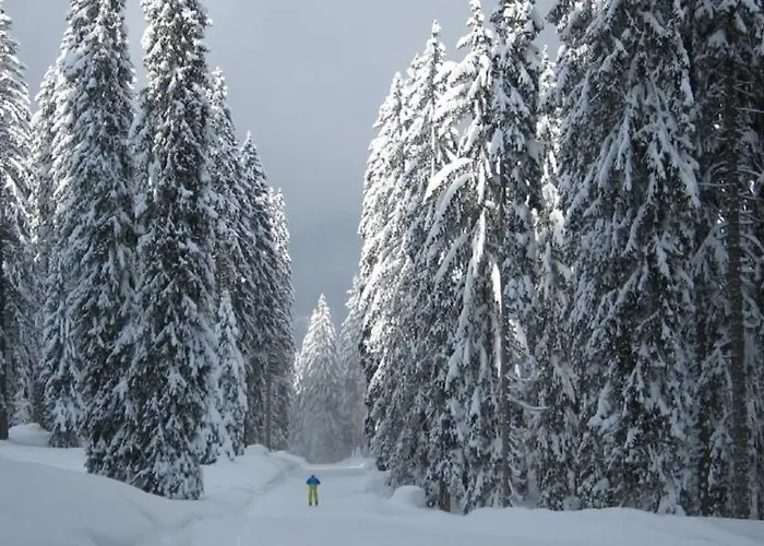 Ortner-hof Inkl. Chiemgaukarte Ruhpolding
